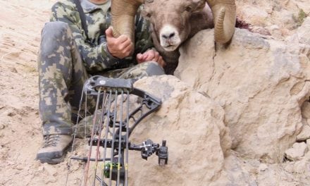 Archery hunter’s bighorn sheep likely a Nebraska record