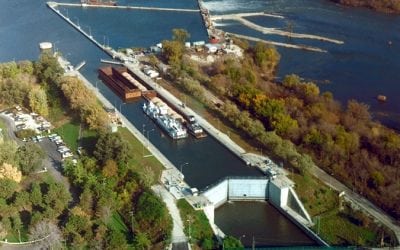 B.A.S.S. Encourages Swift Action On Asian Carp Plan