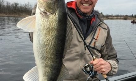 Catching River Walleyes This Spring