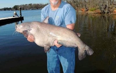 CatfishNow’s November Edition Is Out