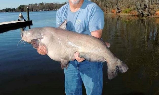 CatfishNow’s November Edition Is Out