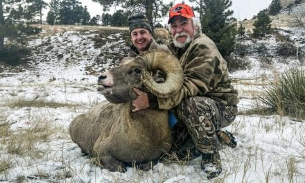 Chadron man successful in bighorn hunt