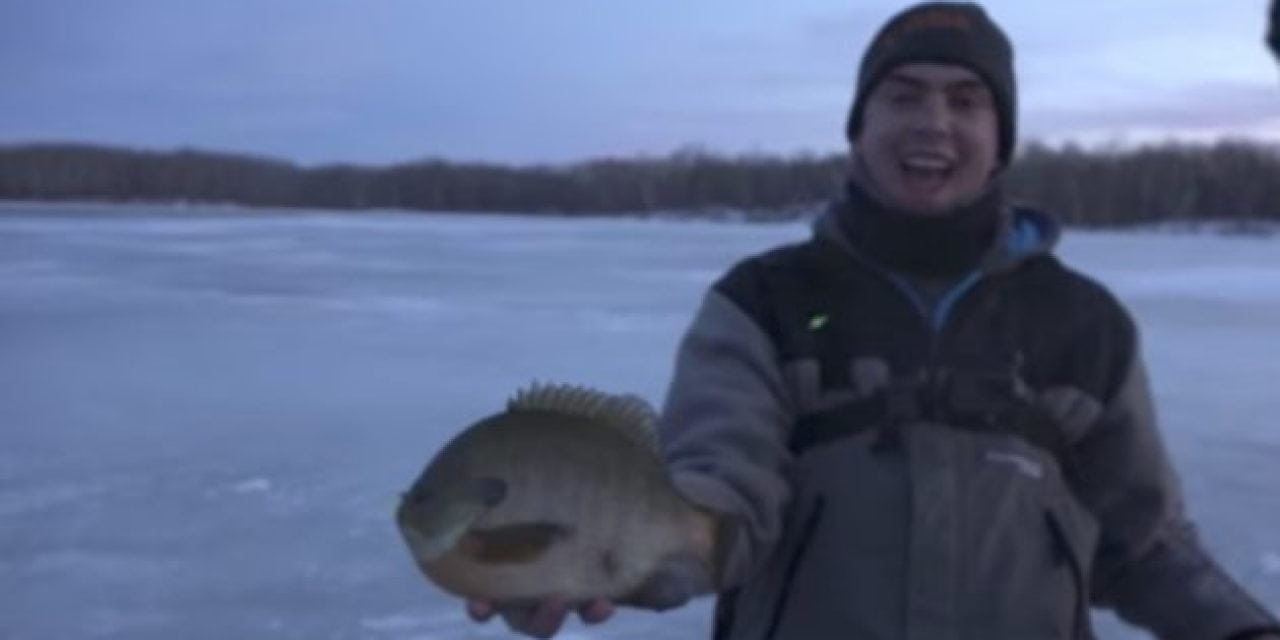 Check Out These Giant North Dakota Bluegills