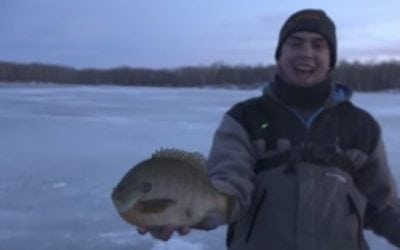 Check Out These Giant North Dakota Bluegills