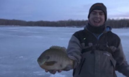 Check Out These Giant North Dakota Bluegills