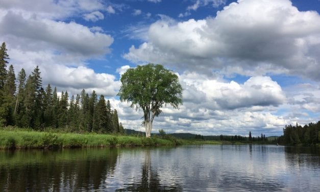 Trout Unlimited’s Chris Wood Talks Public Lands, Alchemy & Casting from a Shopping Cart