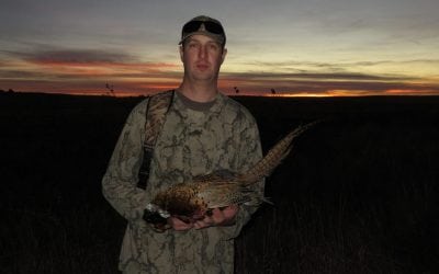 Combodacious, Late Fall 2017