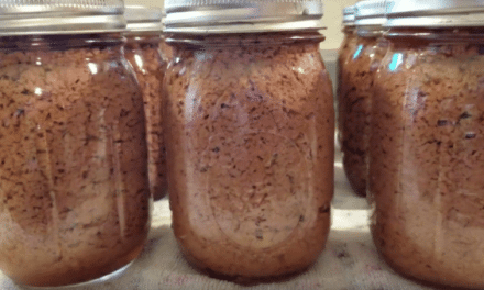 Does Pressure Canning Ground Venison Really Work?