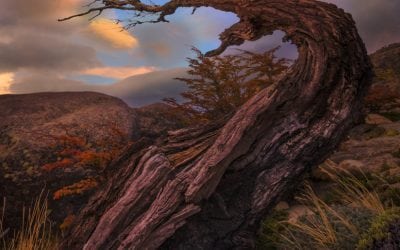 Extreme Angles Assignment Winner Sangeeta Dey