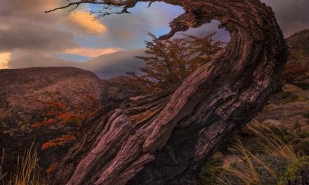 Extreme Angles Assignment Winner Sangeeta Dey