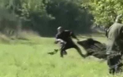 Feel the Intensity of These Shocking Hunting Moments Caught on Camera