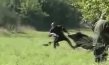 Feel the Intensity of These Shocking Hunting Moments Caught on Camera