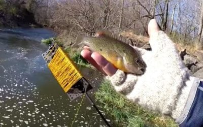 Fishing Challenge: Check Out This Crazy Gyeonji Rod