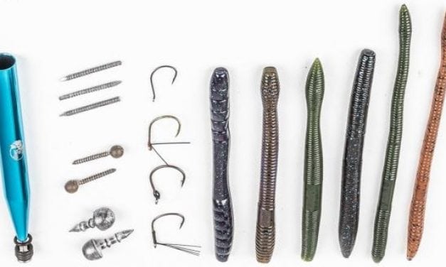 FLW Reports – Neko Rig Basics