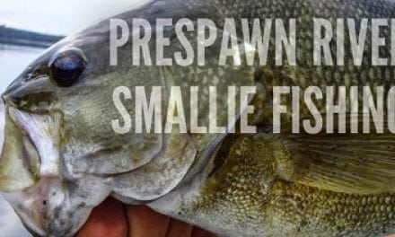 Get Ahead of the Pre-Spawn River Bass