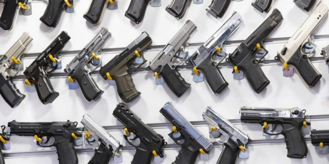 Gun Bills Pass Through the Michigan Senate: Here’s What to Know