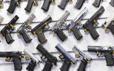 Gun Bills Pass Through the Michigan Senate: Here’s What to Know