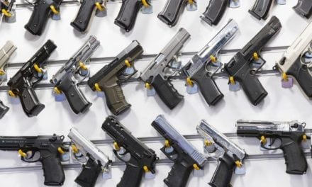 Gun Bills Pass Through the Michigan Senate: Here’s What to Know