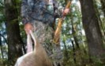 Guns Over the Mantle, Disappearing with Time