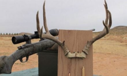 Here’s How the Ruger Hawkeye FTW Hunter Performed on my New Mexico Mule Deer Hunt