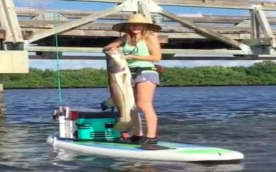 Here’s How You Land a 40-Inch Snook from a Paddleboard