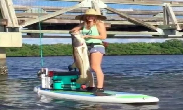 Here’s How You Land a 40-Inch Snook from a Paddleboard