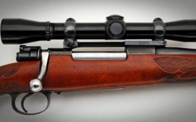 Here’s What We Found to Be the Best Rifle Caliber for Deer