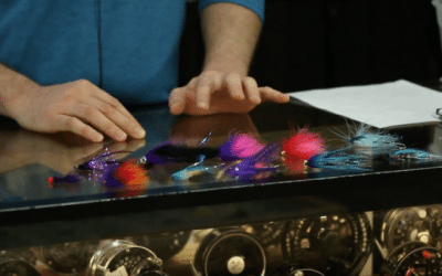 How Do You Know What Steelhead Flies to Use?