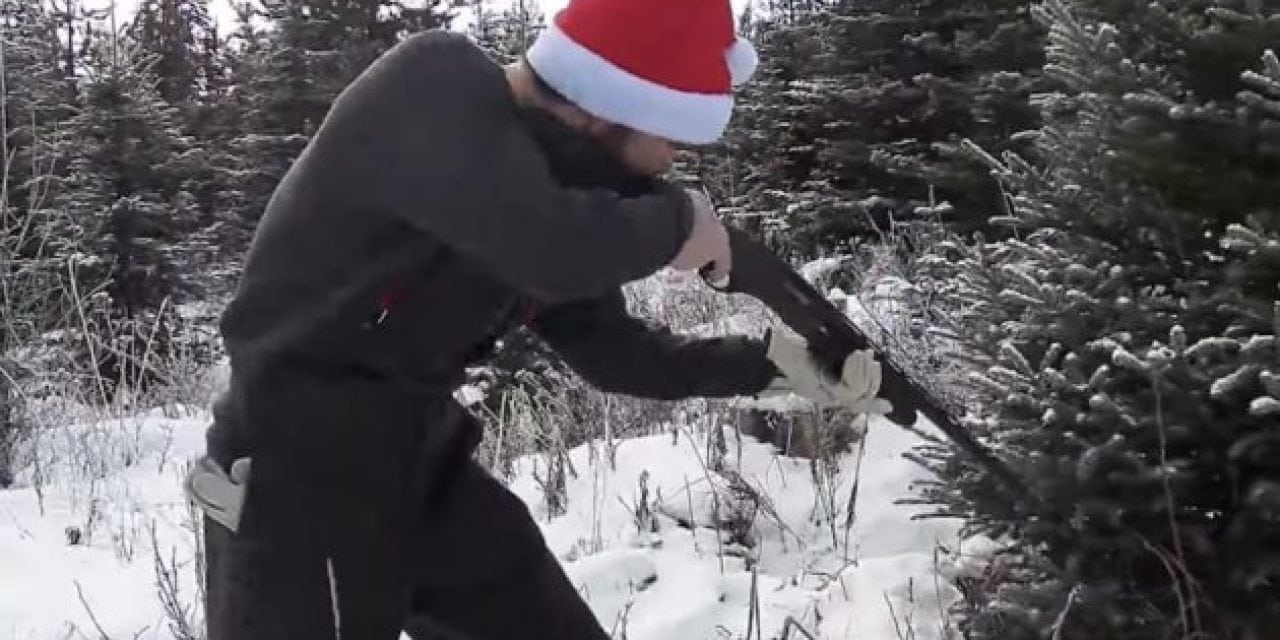 How to Cut Down a Christmas Tree with a Shotgun
