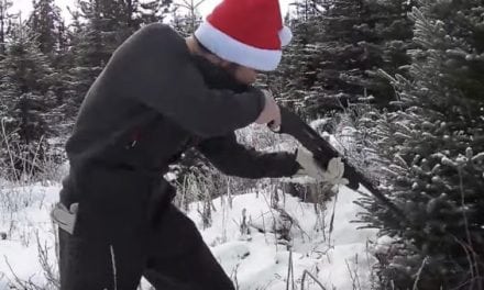 How to Cut Down a Christmas Tree with a Shotgun