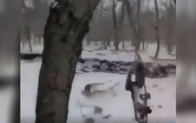 Incredible Running Shot with a Bow Is Impressive, but Probably Not Ethical