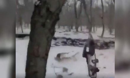 Incredible Running Shot with a Bow Is Impressive, but Probably Not Ethical