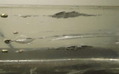 Is the .25 ACP Powerful Enough for Self-Defense?