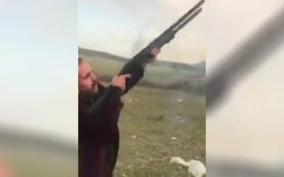 Is This Full-Auto Shotgun the Best Sporting Clays Weapon Ever?