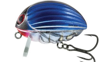 It Might Not Be Topwater Time, But You Need To Get A Salmo Bass Bug