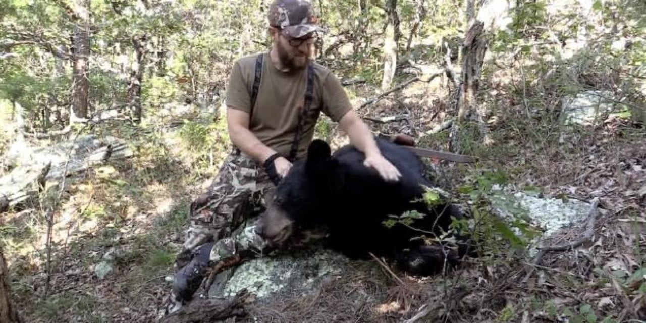 It Takes Skill to Kill a Public-Land Black Bear on Foot with a Recurve Bow