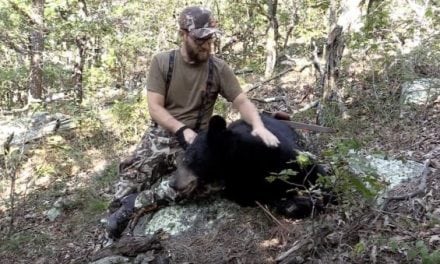 It Takes Skill to Kill a Public-Land Black Bear on Foot with a Recurve Bow