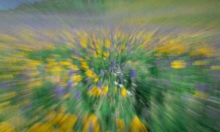 Knee Deep In Motion  
