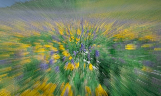 Knee Deep In Motion  