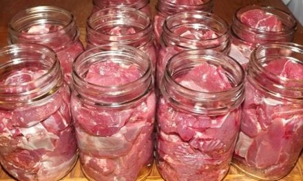 Learn How to Can Your Own Venison