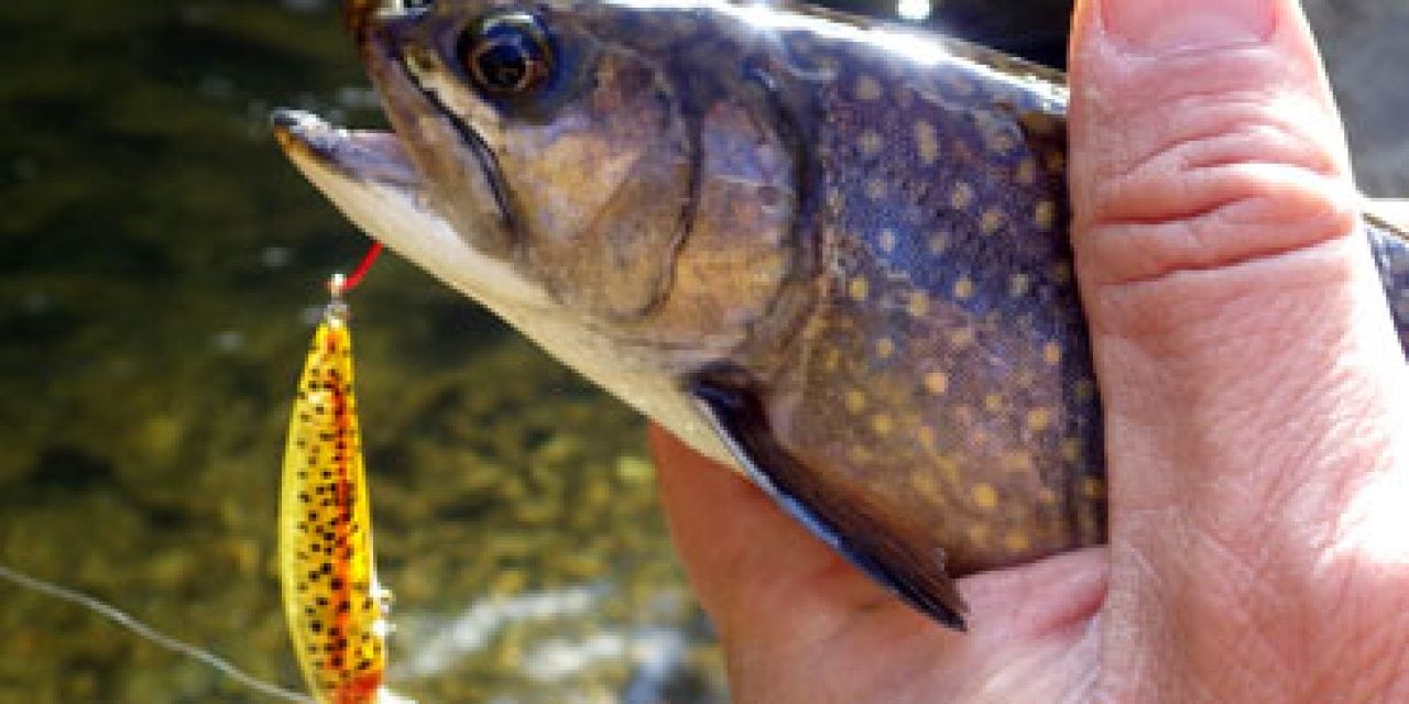 Lures For Immediate Success on Delayed Harvest Trout Streams