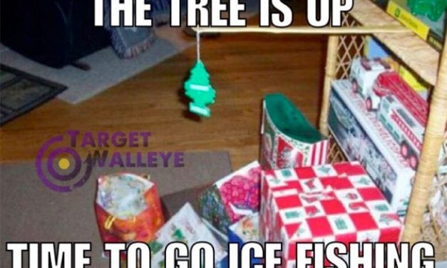 Merry Christmas, 2017