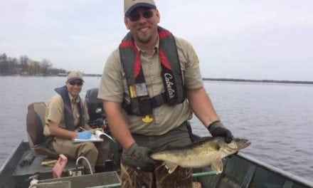 Mille Lacs business owners say walleye strife is politics, not biology