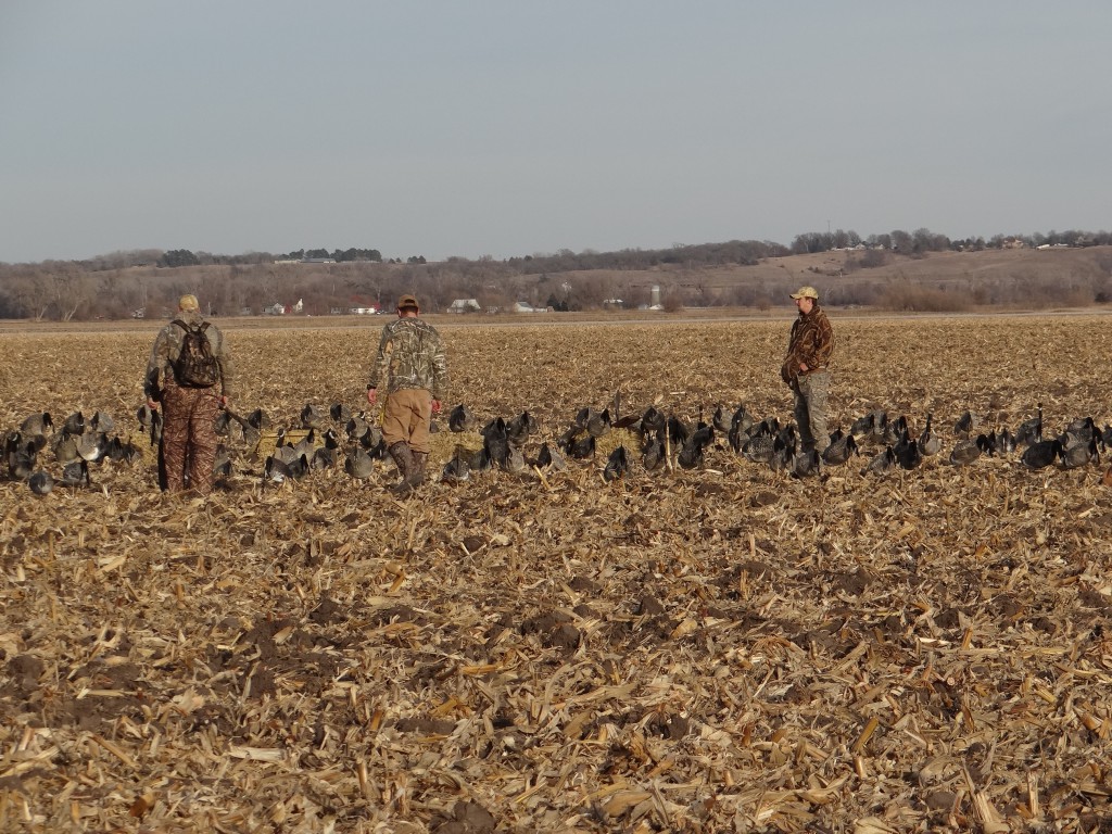 No Water Needed for Hunting Canada Geese â‹† Outdoor 