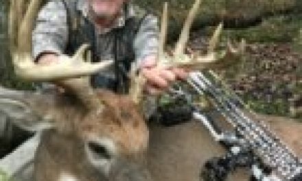 Nugent: Another Year of the Deer