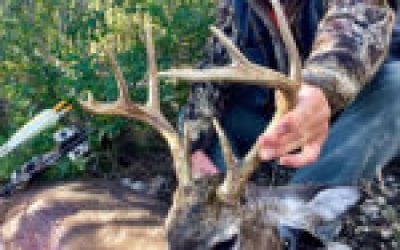 Nugent: Happy Deerhunting Birthday to Me