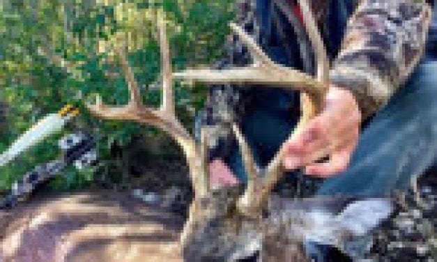 Nugent: Happy Deerhunting Birthday to Me