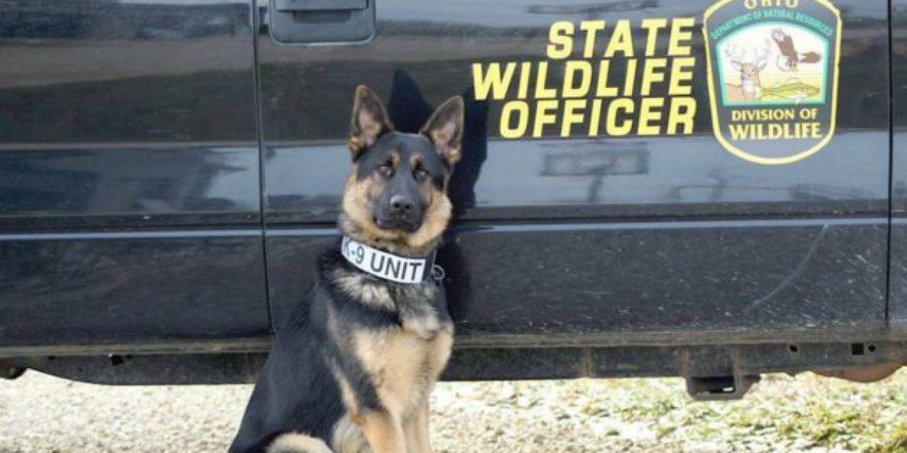Ohio Division of Wildlife Will Be Using K-9’s in 2018