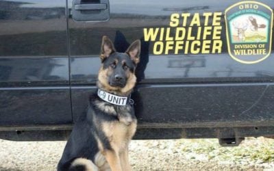 Ohio Division of Wildlife Will Be Using K-9’s in 2018
