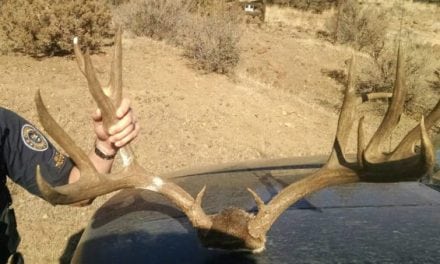 Oregon State Police Looking for Leads in Two Oregon Mule Deer Poaching Cases